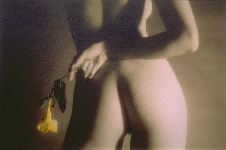 P�talos y Piel,  #8